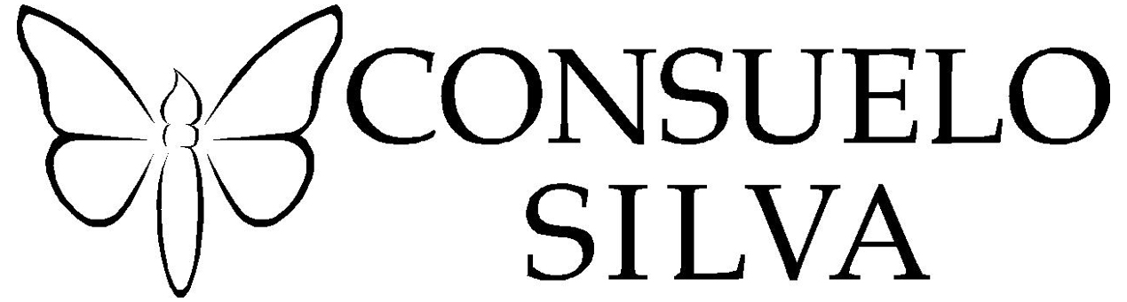 consuelosilva.com